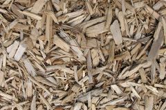 biomass boilers Luson